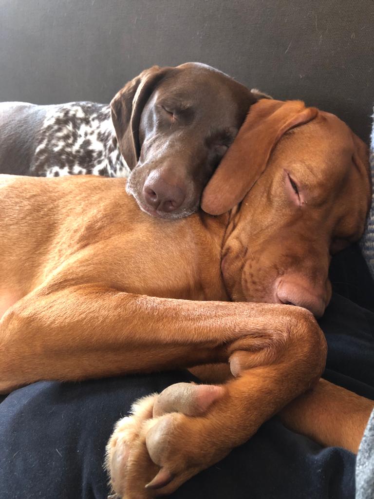 Eddie Pepperell tweet media