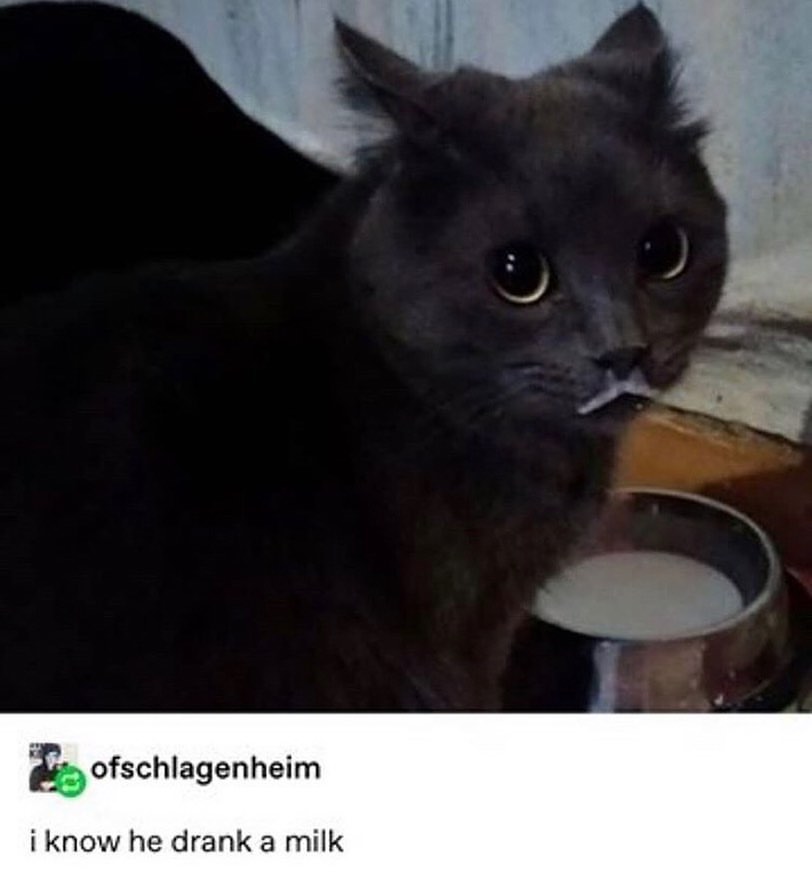 bon dia !!! i know he drank a milk