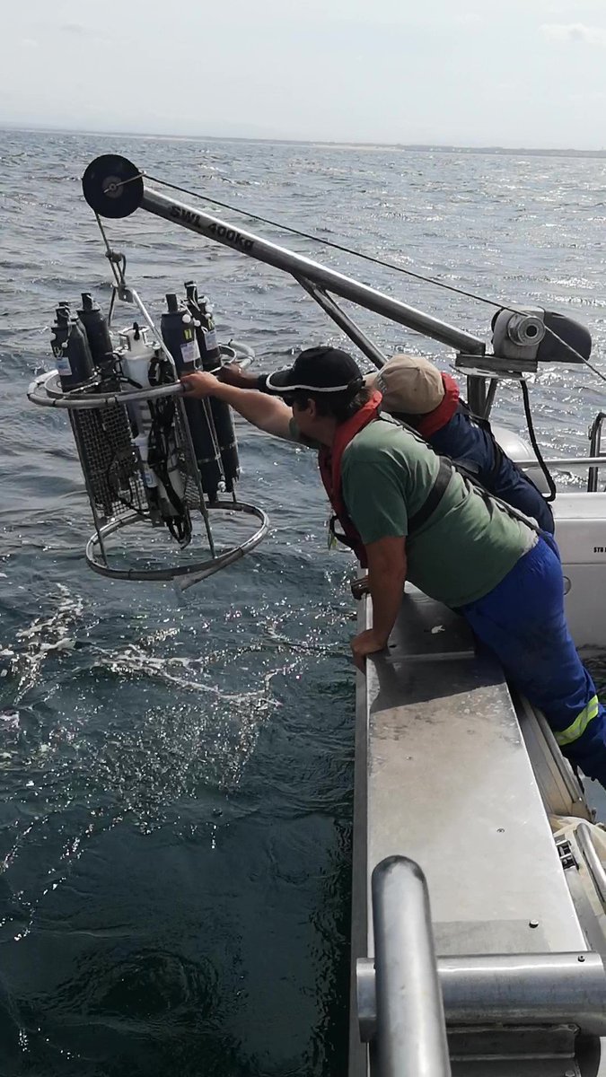 SMCRI_ZA's tweet photo. On Pelagic Ecosystem Long-Term Ecological Research (PELTER) cruises, taking place once a month in Algoa Bay, samples of phytoplankton, zooplankton, ichthyoplankton as well as observations of environmental variables are collected.
#ElwandleNode #SMCRI @SAEONews @DSIGovZa @NRF_News https://t.co/PQR1IEZDNr