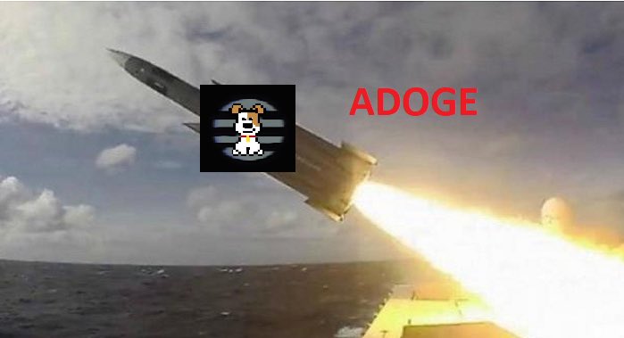 ADOGE tweet media