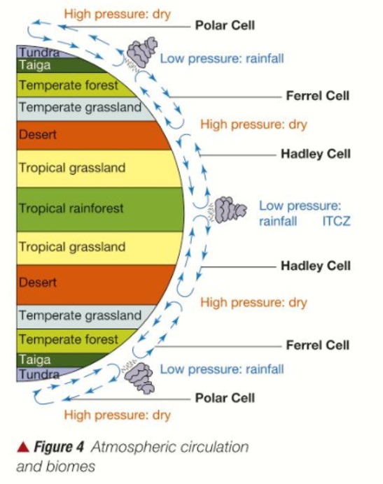 Geo_Jo26's tweet photo. A #geographyteacher asked about a transect of biomes by longitude  the other day but I can't find who.  Is this any good?  Must be from a textbook somewhere. https://t.co/ll2GjwxvxO