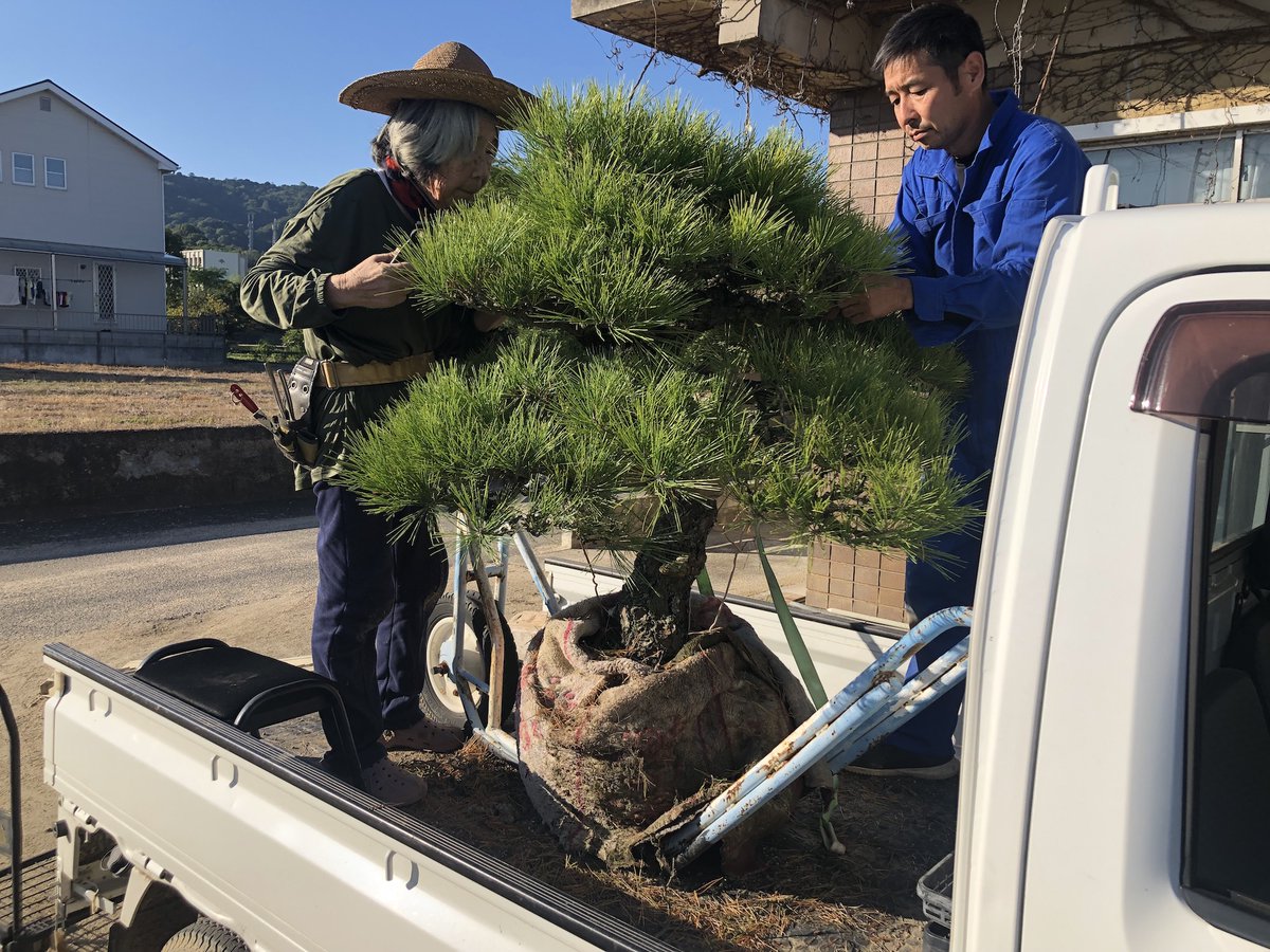 THEBONSAI_nft tweet picture