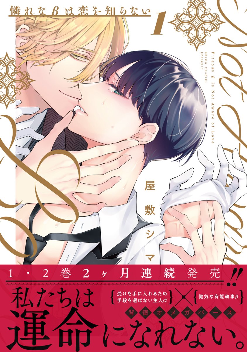 b_tulle's tweet photo. 【‼️明日発売‼️】
Tulle Comics
🌹#憐れなβは恋を知らない①🌹
著：＃屋敷シマ

通常版・小冊子付き特装版ともに
いよいよ明日発売です🏃‍♂️💨

🔗特典情報💗
https://t.co/bA9mWlUHZz

🎊紙＆電子同時発売

🆕ツイッター企画実施決定💫
詳細は明日発表🔜

発売をお楽しみに…💕 https://t.co/8fecUQbiPa
