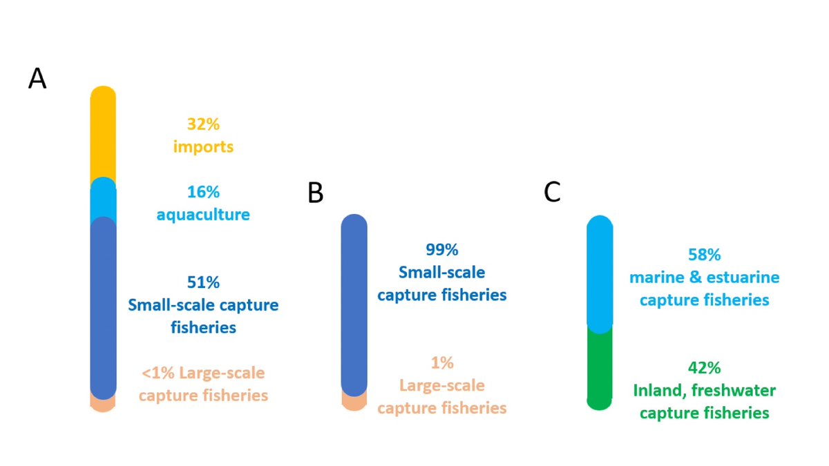 WorldFishCenter's tweet photo. 💡Researchers from @WorldFishCenter &amp; @UnilagNigeria did a dive into Nigeria’s food environments &amp; diets.

The study showed substantial opportunities to address malnutrition concerns with more equitable distribution of #fish &amp; other #aquaticfoods. 

Read 👉https://t.co/jz8NzR8GkS https://t.co/T54mHua2fD