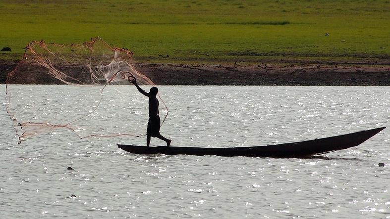 WorldFishCenter's tweet photo. 💡Researchers from @WorldFishCenter &amp; @UnilagNigeria did a dive into Nigeria’s food environments &amp; diets.

The study showed substantial opportunities to address malnutrition concerns with more equitable distribution of #fish &amp; other #aquaticfoods. 

Read 👉https://t.co/jz8NzR8GkS https://t.co/T54mHua2fD
