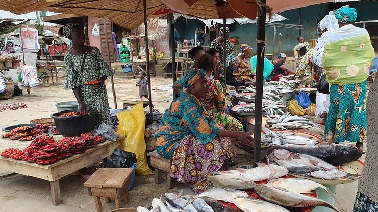 WorldFishCenter's tweet photo. 💡Researchers from @WorldFishCenter &amp; @UnilagNigeria did a dive into Nigeria’s food environments &amp; diets.

The study showed substantial opportunities to address malnutrition concerns with more equitable distribution of #fish &amp; other #aquaticfoods. 

Read 👉https://t.co/jz8NzR8GkS https://t.co/T54mHua2fD