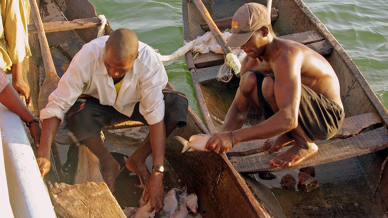 WorldFishCenter's tweet photo. 💡Researchers from @WorldFishCenter &amp; @UnilagNigeria did a dive into Nigeria’s food environments &amp; diets.

The study showed substantial opportunities to address malnutrition concerns with more equitable distribution of #fish &amp; other #aquaticfoods. 

Read 👉https://t.co/jz8NzR8GkS https://t.co/T54mHua2fD