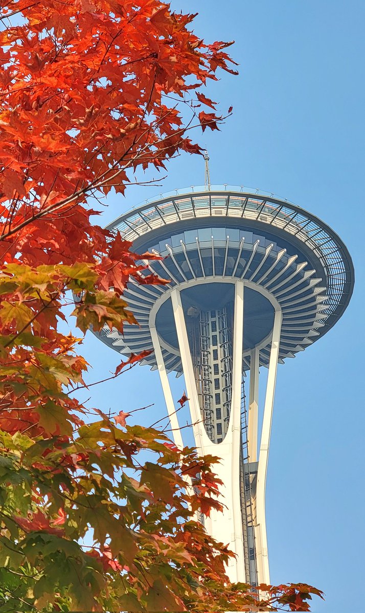 jamesjos_photog's tweet photo. Wednesday Space Needle. #spaceneedle #seattlecenter #seattlefall #komonews #sonorthwest #autumnleaves https://t.co/AYtfIM69dy