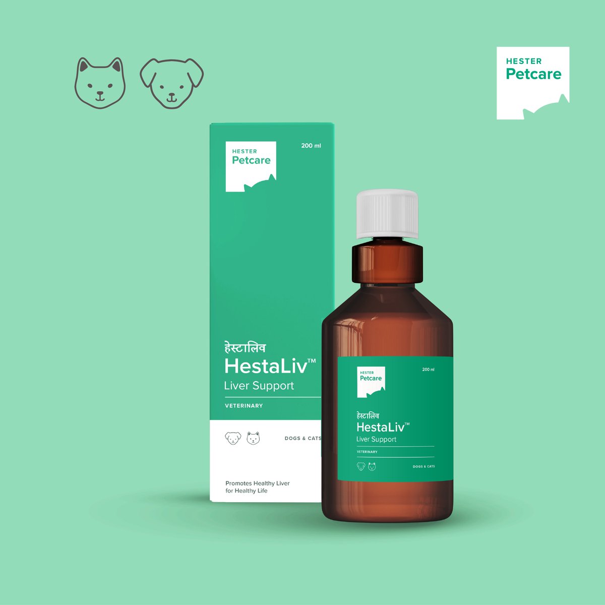 Hesterindia's tweet photo. HestaLiv™ is an effective formula that enables the pet's body to help restore #MetabolicEfficiency and boost the #EnzymaticActivity of the liver to optimise the digestion process.
Product: https://t.co/unr5Wnye4c
#hester #digestionsupport #dogsupplement #HealthyDietTips https://t.co/9dgdcxzeyI