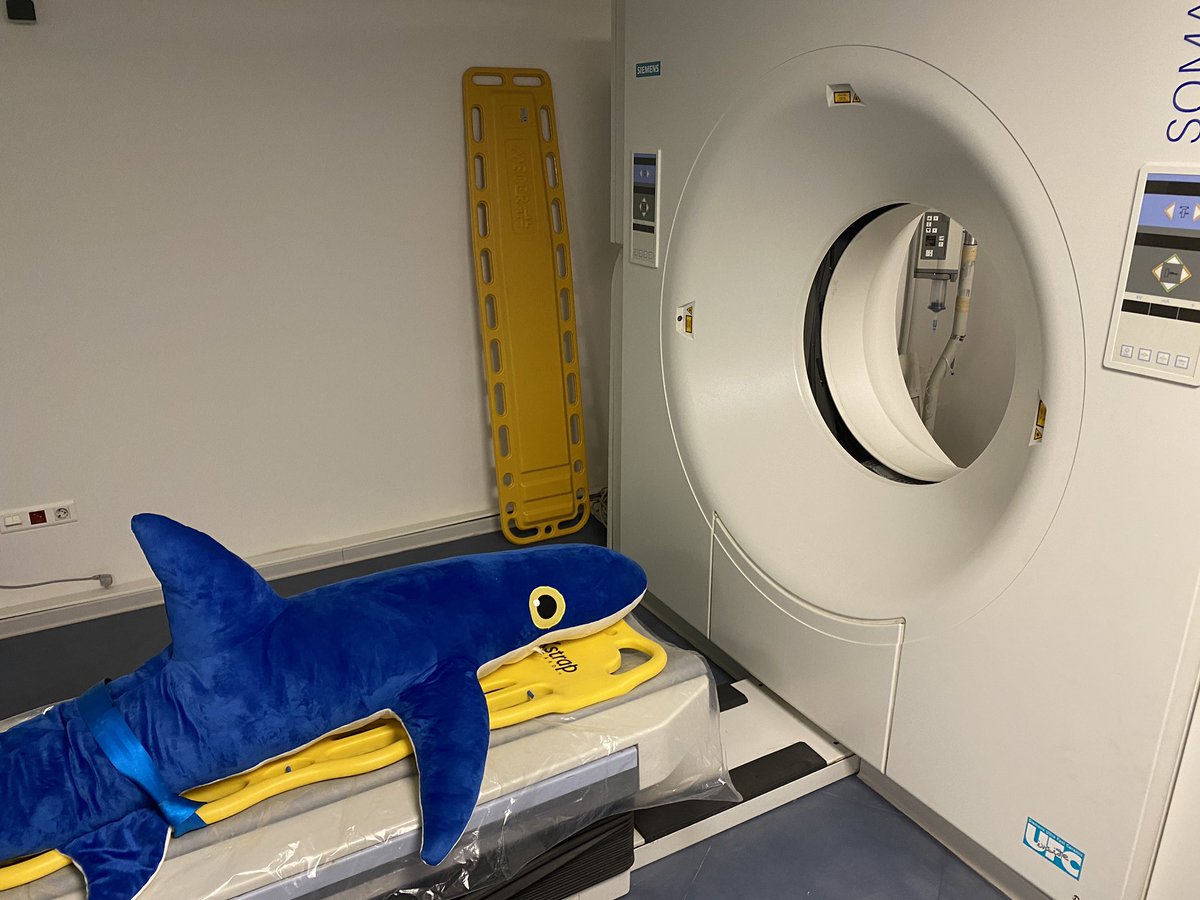 haleydolton's tweet photo. Awesome 1st day at @SharksInt2022 learning about all the behind the scenes action, including an @ExeterMarine reunion with @RoatanGaby 😁 p.s. We found cute inside that fluffy blue shark CT scan… ;) https://t.co/r4U3LkQxth
