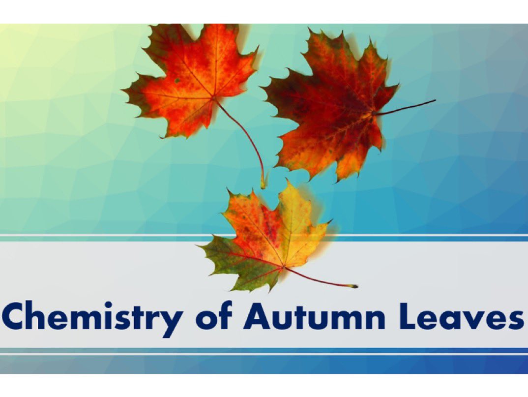chemistryviews-on-twitter-chemistry-of-autumn-leaves-video-shows