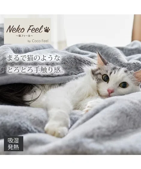まるで猫のような手触り！？ニッセンの商品「猫フィール」が大好評！