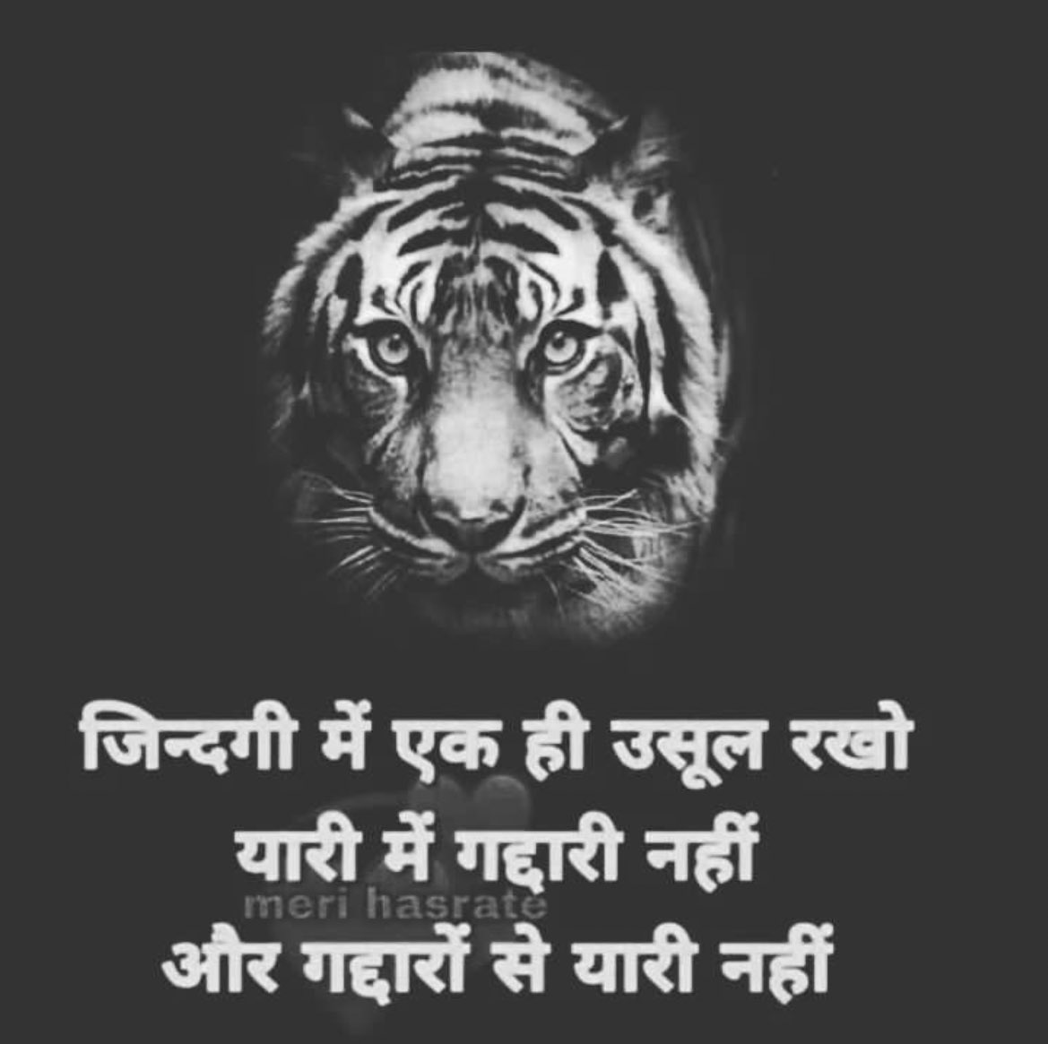 NassaVanita's tweet photo. Learned something valuable..😎😎 https://t.co/Ffhx9oKdY8