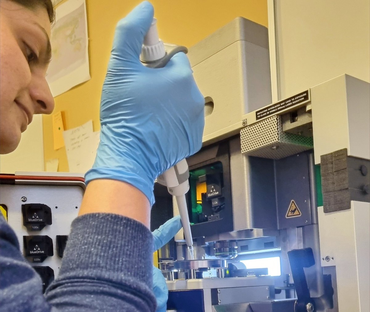 KarinaKSand tweet media