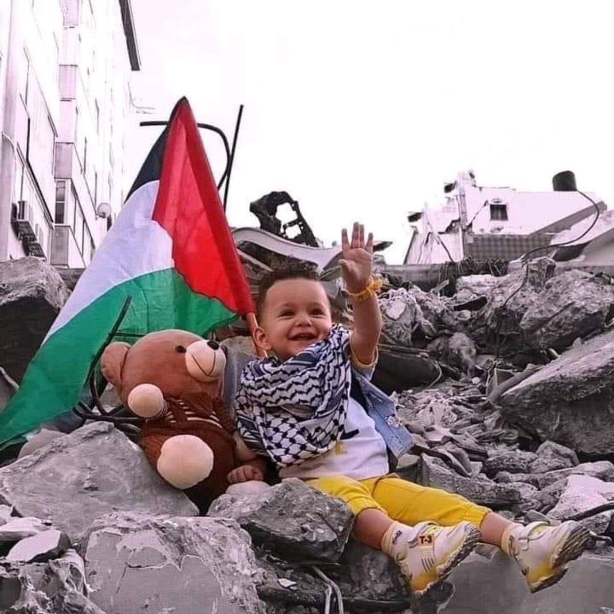 MohammedNHajAli's tweet photo. عدي علمنا درسا إن فهمناه إختصرنا الطريق إلى أقصانا 

صباح عدي التميمي والشهاده https://t.co/kBm8CanRLQ