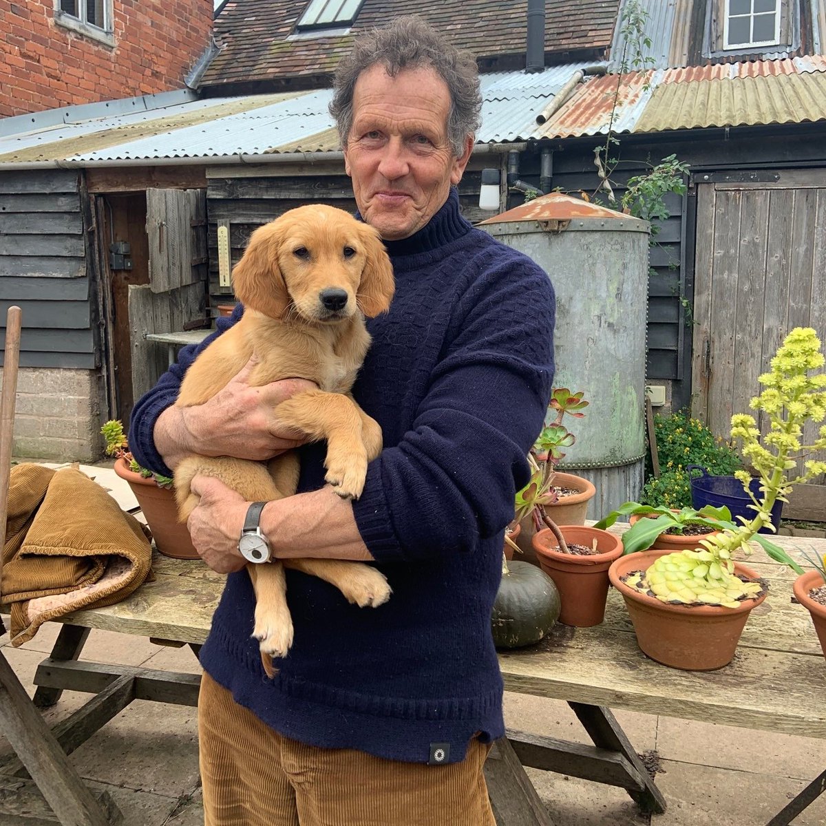 GWandShows's tweet photo. Don't forget, we're on a day early this week at the later time of 9pm. Monty and Assistant Gardener, Ned, will be waiting for you. See you later 🐶 #GardenersWorld #Gardening #DogsOfTwitter #ThursdayThoughts https://t.co/vODUpOWHMD