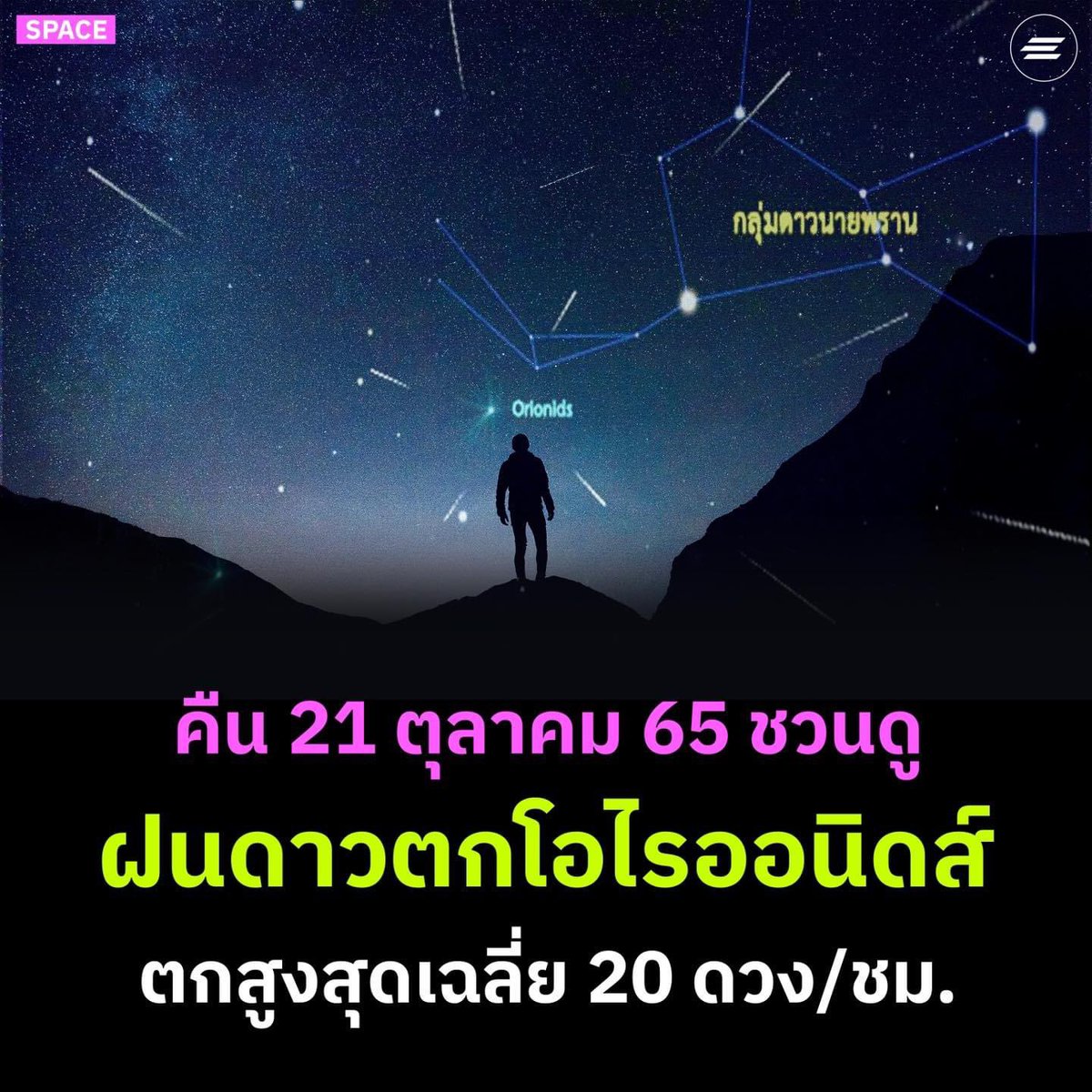 ✨ I told the stars about you ✨