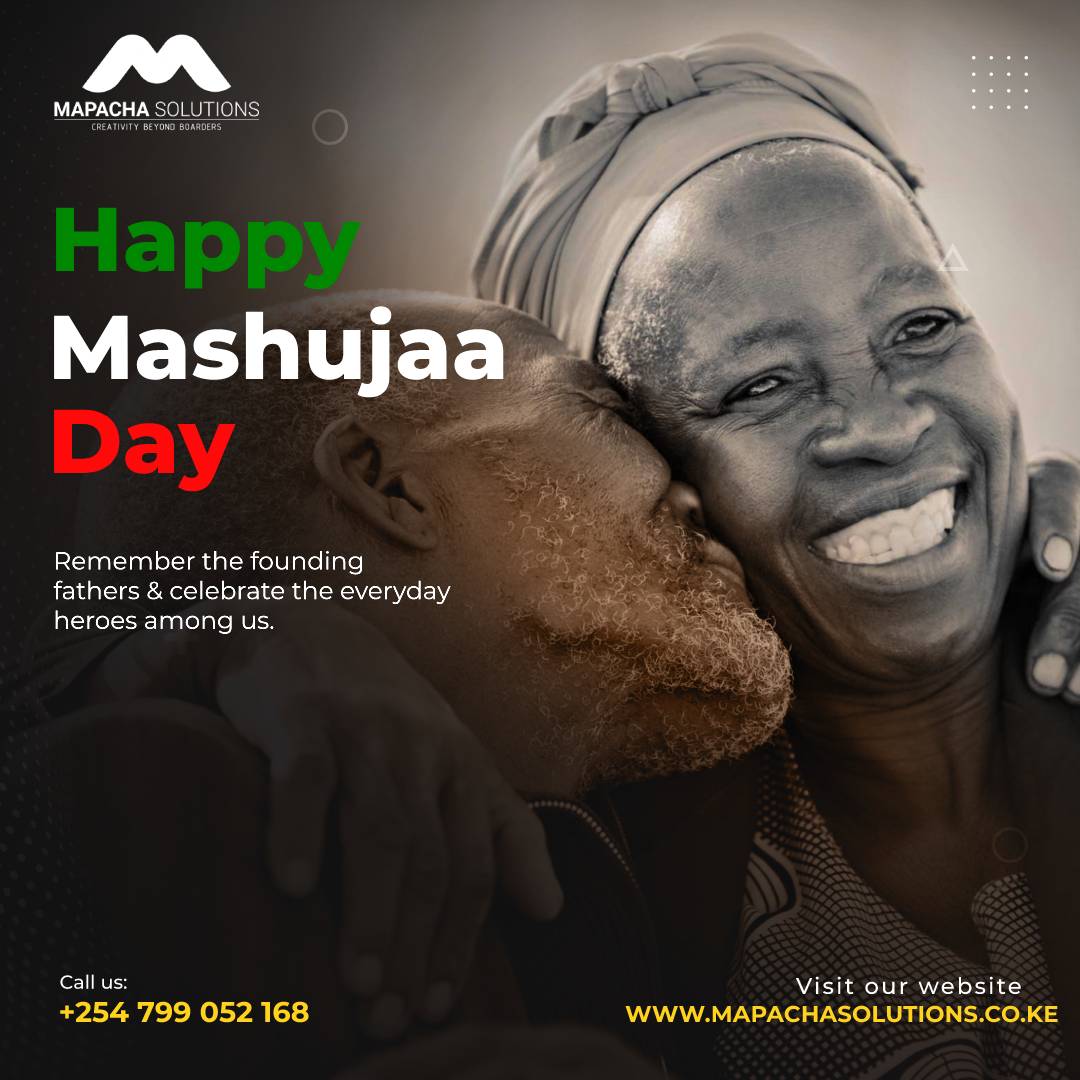 mapachasolution's tweet image. 