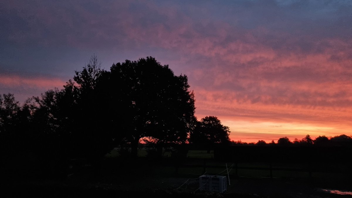 Dat is inderdaad de voorspelling Jan😀