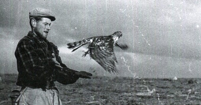 Achim1106's tweet photo. "The chief cause for the impending collapse of the world - the cause sufficient in and by itself - is the enormous growth of the human population: the human flood. The worst enemy of life is too much life: the excess of human life." - Pentti Linkola 
SIGN: https://t.co/cqDyt5Aguj https://t.co/TFi6thjFjV