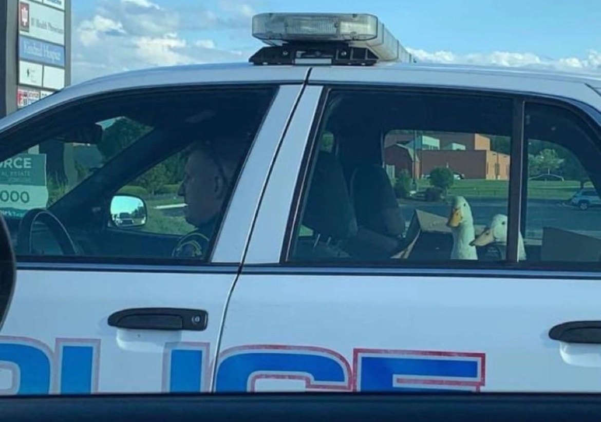 DRIP (@dript3r) on Twitter photo 