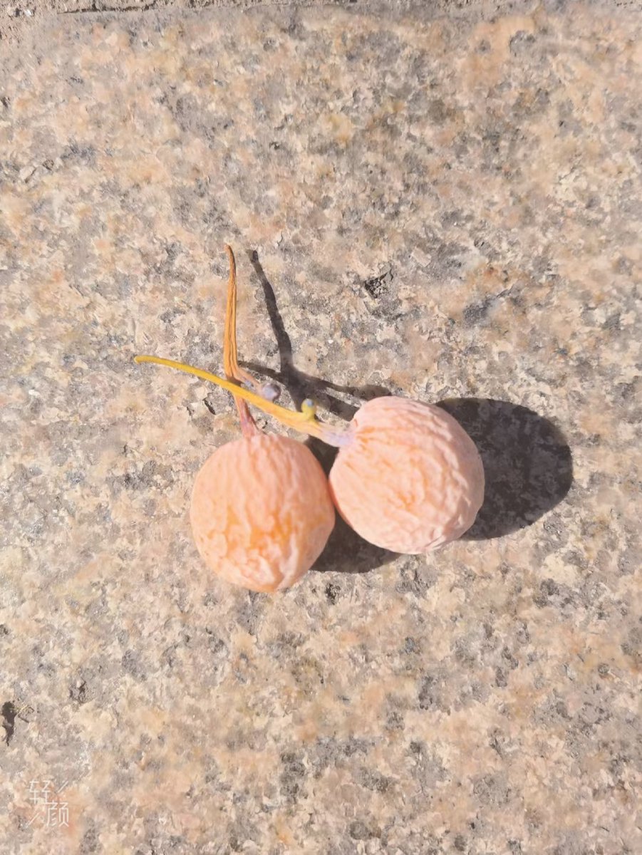 Liming523 tweet media