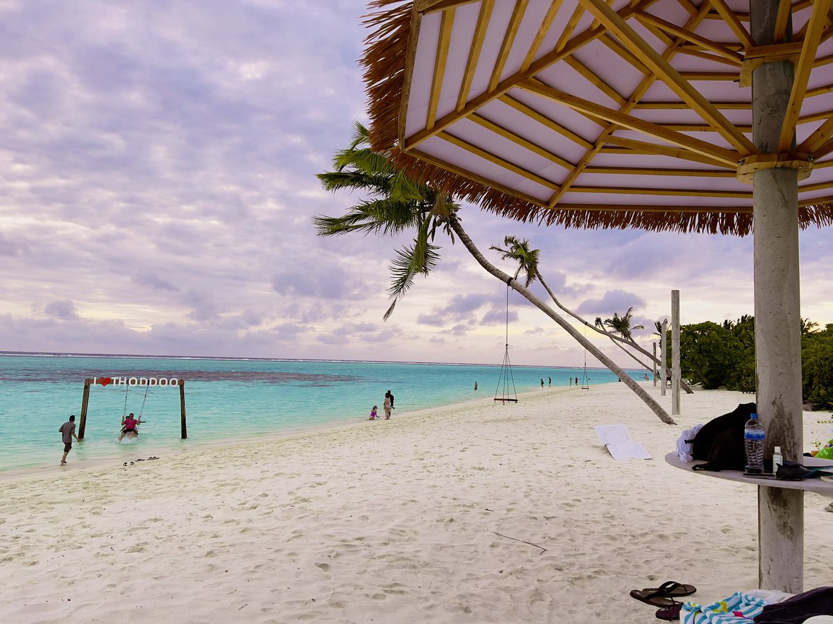 #thoddoo #thoddoobeachholidayinn #thoddooisland #maldives #localisland #guesthouse #bikinibeach #guestbeach #guest #russia #italy #CzechRepublic