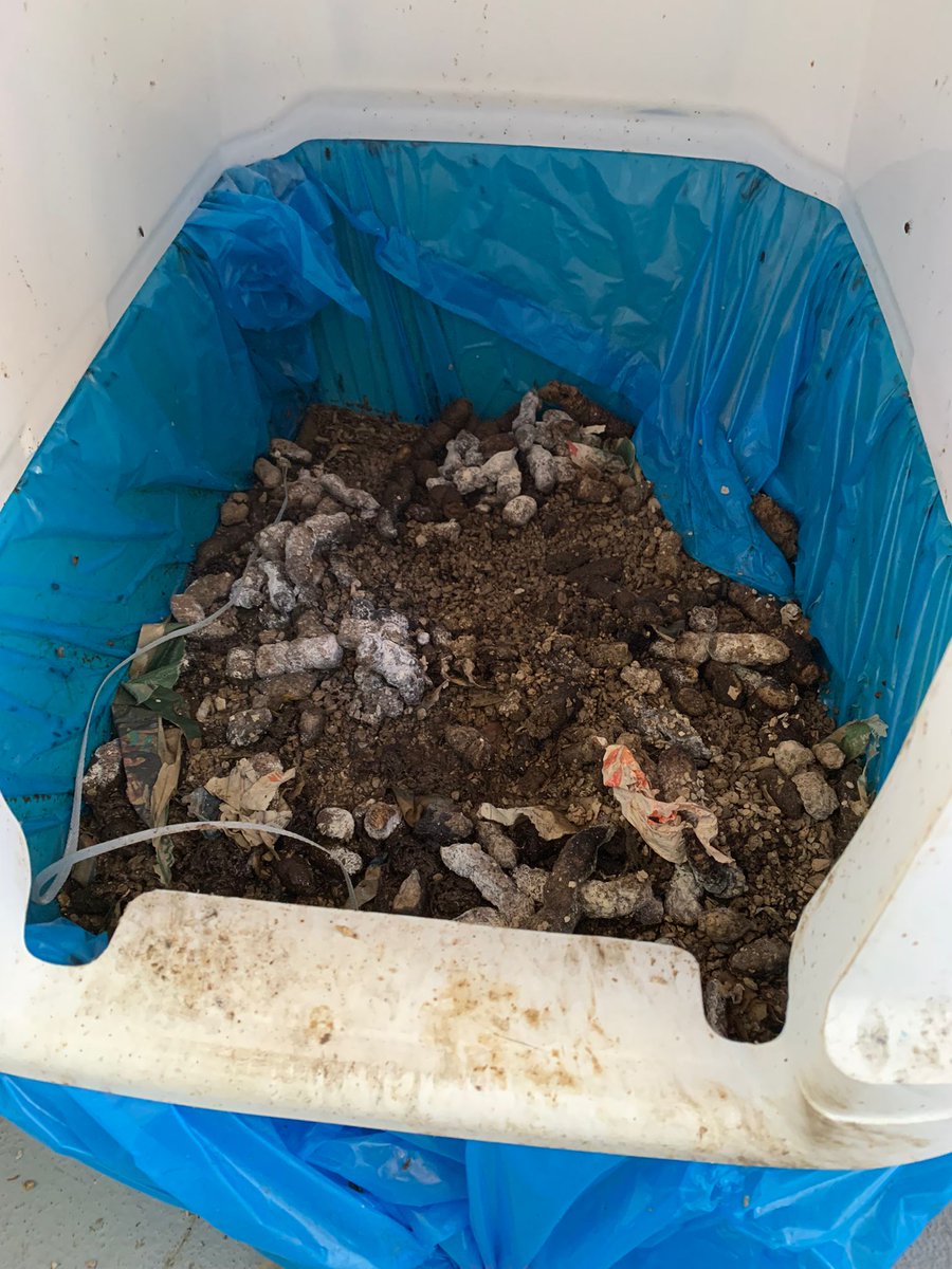 Bijna dagelijks hoor ik de opmerking "ik wilde hem net gaan schoonmaken" of " ik heb vandaag nog geen tijd gehad".  Ook deze eigenaar had nog geen tijd gehad. Katten hebben ook recht op een schone wc. <a href="/Meldpunt144/">Meldpunt 144</a> #bestuursrecht #lid #dierenwelzijn