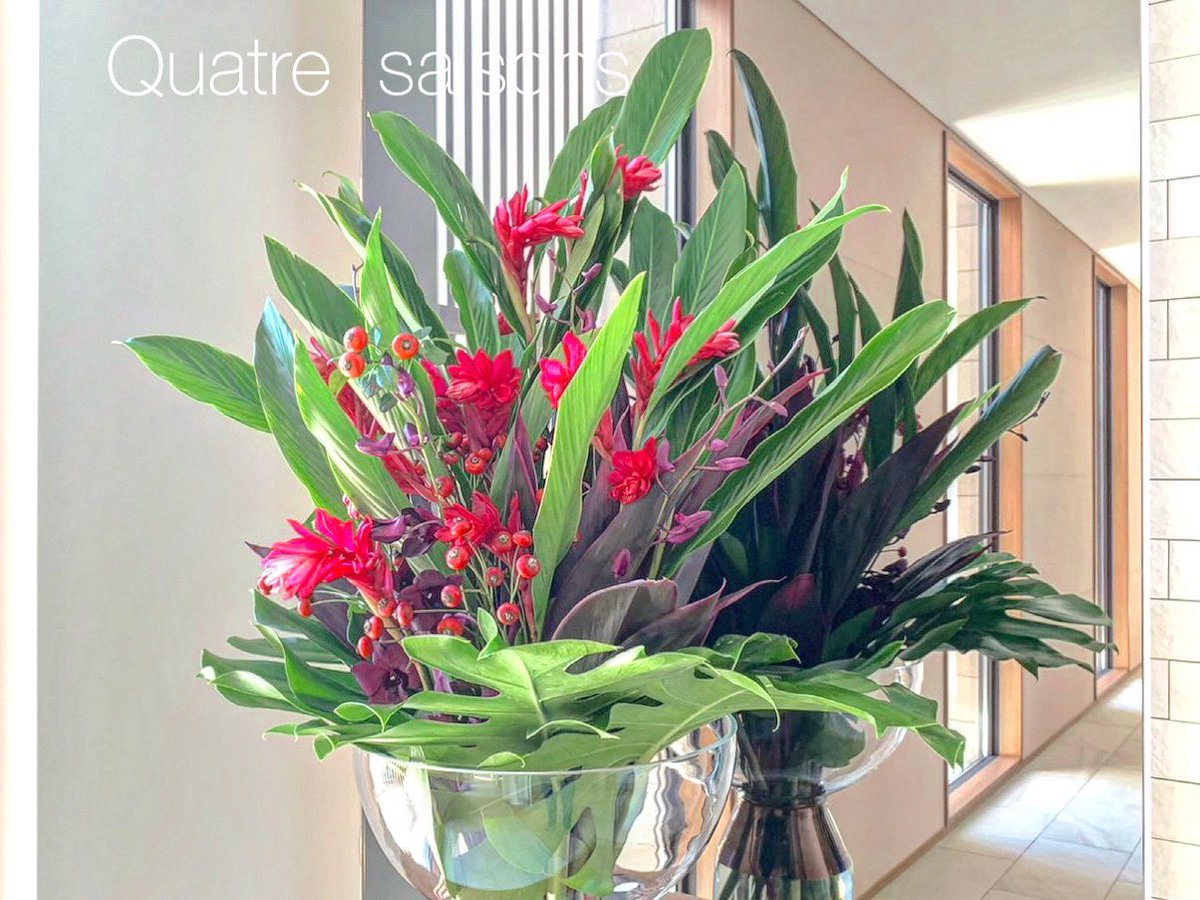 quatresaisons's tweet photo. Ｈｉ♡ ••┈┈┈┈┈┈┈┈•• ♡

Ａｗａｐｕｈｉ　
Ｕｌａ　Ｕｌａ

#Flowers #Welcomeflowers 
#RedGinger  #QuatreSaisons 🦋
#カトルセゾン
#群馬県太田市花屋 https://t.co/ceBDExTtIV