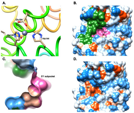 Antibiotics MDPI (@antibioticsmdpi) on Twitter photo #editorchoice
The Structures and Binding Modes of Small-#Molecule Inhibitors of #Pseudomonas #aeruginosa Elastase LasB by Dr. Anna K. H. Hirsch et al. from <a href="/Saar_Uni/">Universität Saarland</a>
👉mdpi.com/2079-6382/11/8… #editorchoice
The Structures and Binding Modes of Small-#Molecule Inhibitors of #Pseudomonas #aeruginosa Elastase LasB by Dr. Anna K. H. Hirsch et al. from <a href="/Saar_Uni/">Universität Saarland</a>
👉mdpi.com/2079-6382/11/8…