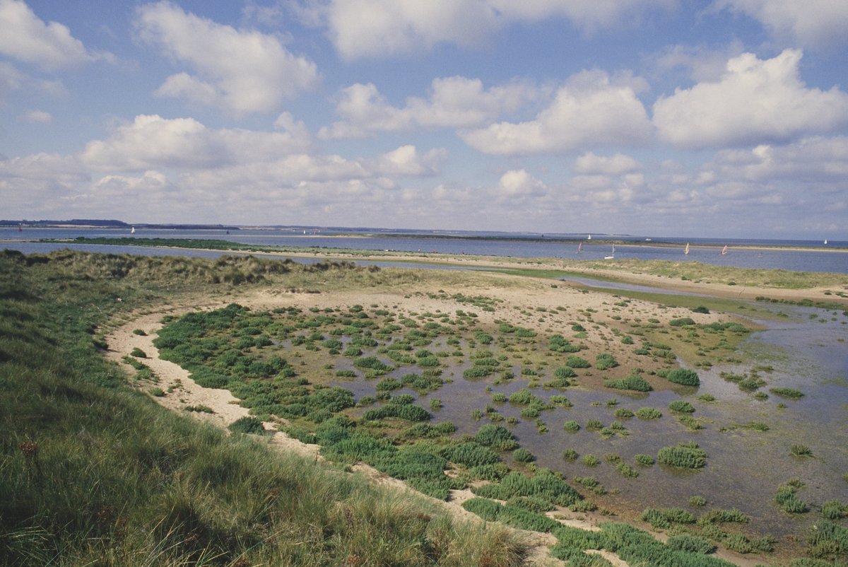 For #InternationalLandscapeDay let's celebrate the fantastic landscapes that we enjoy in Norfolk &amp; Suffolk:

🌿Fens
🌸Heaths
🌳Woodlands
🌊Coastal habitats
🌾Arable farmland
💧Broads
🌱Brecks

Few parts of the country can offer such a rich variety of different landscapes!