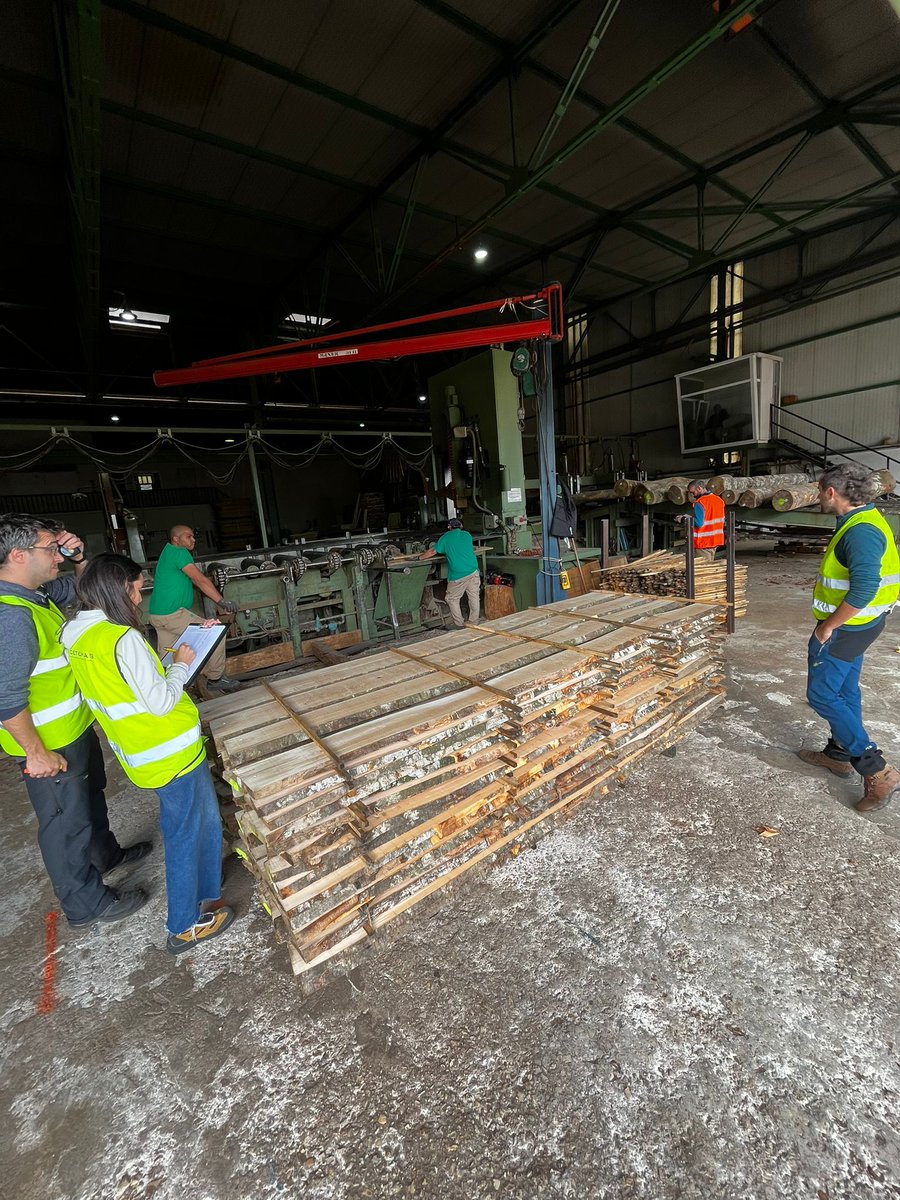 Grupo Operativo GO Fagus tweet media