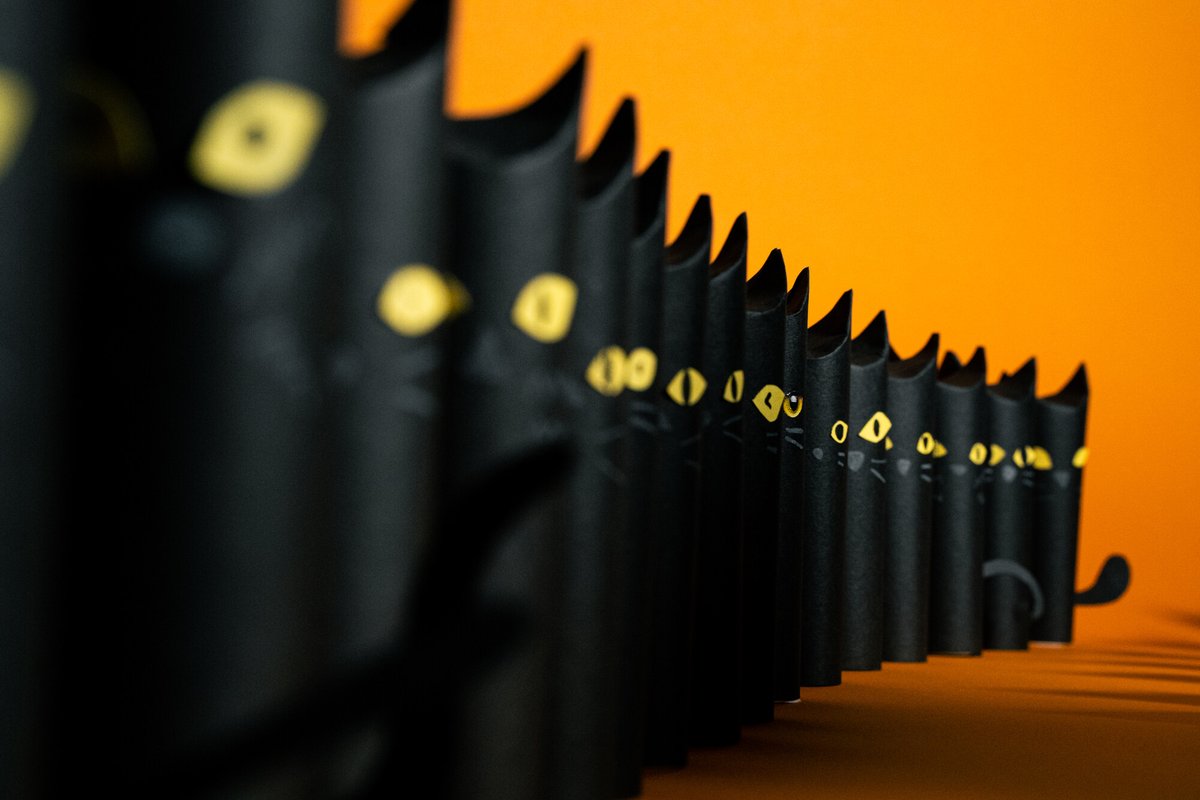 数量限定品❗️超レアパネル 交通安全！トイプードルお守り 片面