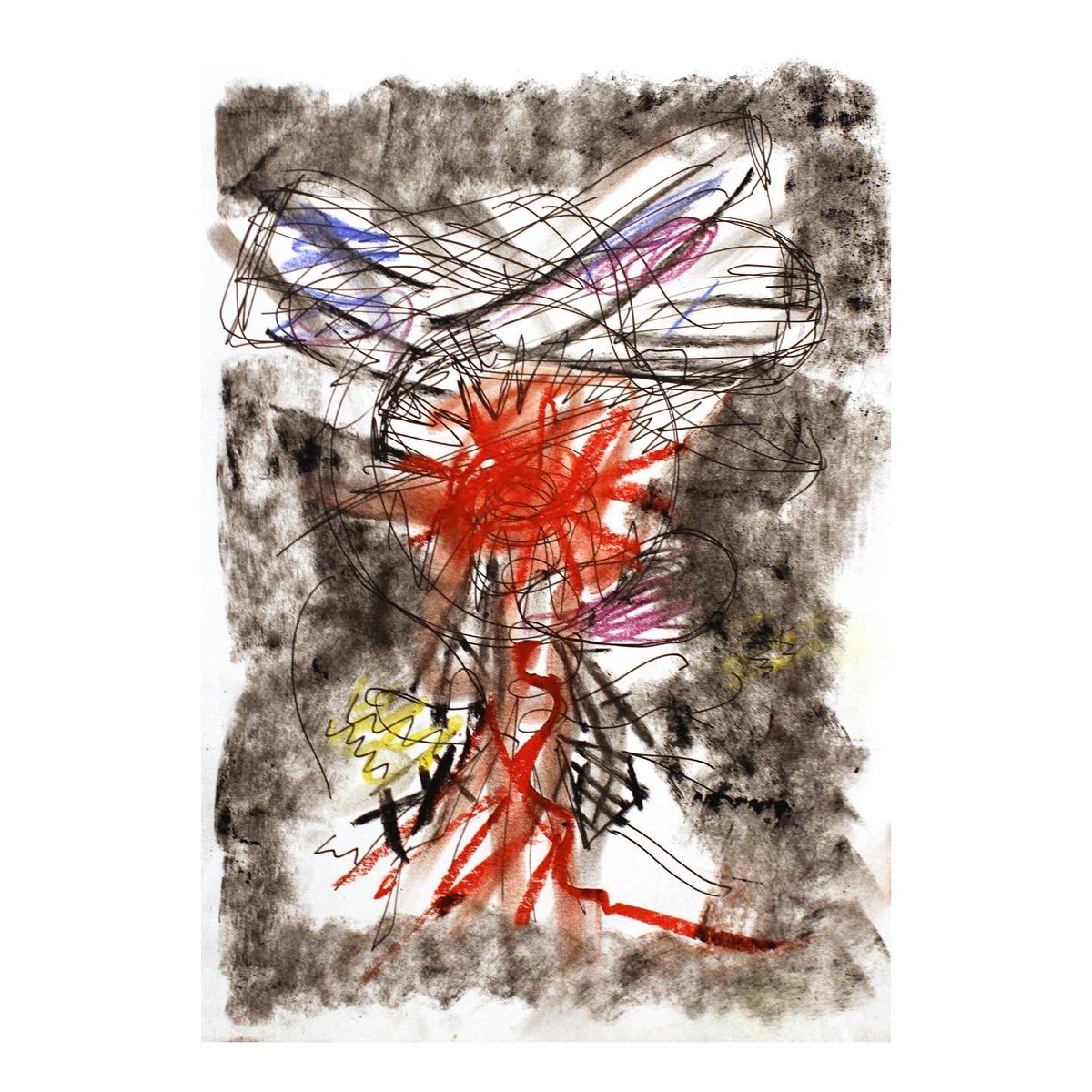 Jessica Coldrey tweet media