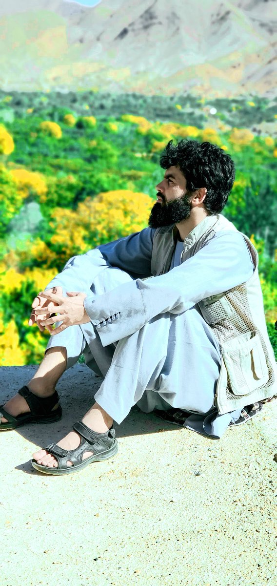 چنین که نعره به نام تو میزنم درشهر

به دارمی کشد آخر مرا شهامت من