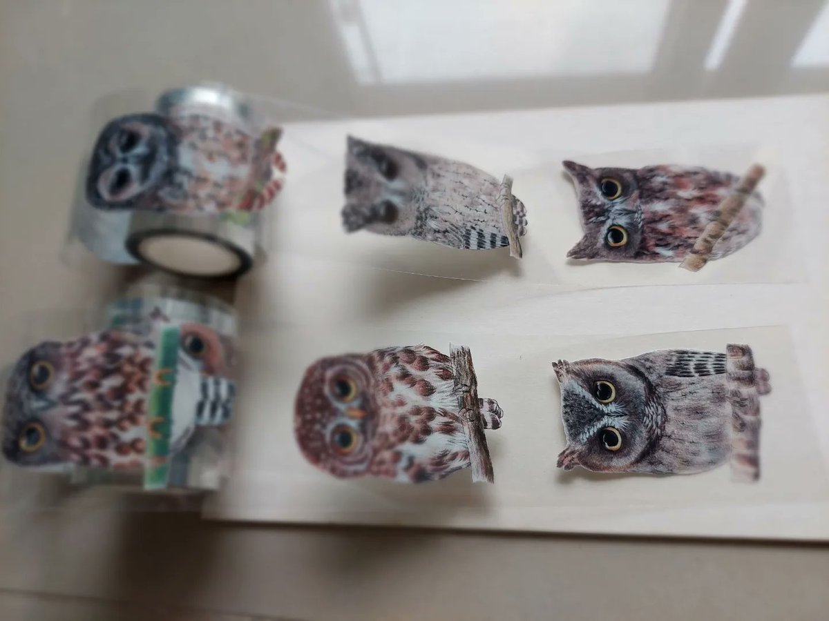 EmilyChu_Owl's tweet photo. 終於把可愛的貓頭鷹做成pet紙膠帶啦!(撒花���🎉🎉)
一共12種,分成兩���(1捲6種)
寬度5公分,長度5公尺
一捲$350,兩捲$700
#紙膠帶 #紙膠帶拼貼 #貼紙 #貼紙控 #手帳拼貼 #pet紙膠帶 #透明pet #手帳素材 #貓頭鷹 #可愛動物 #自然風 #森林 #貓頭鷹貼紙 #owl #birdsoftaiwan #naturedrawing https://t.co/cclsX0Wi4F