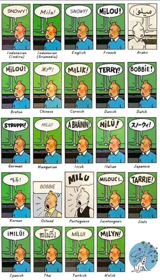 translations86's tweet photo. #languagesandcomics #learnandfun #tintin #fumetti #BDs #historietas #漫画 https://t.co/G14akhN6E4