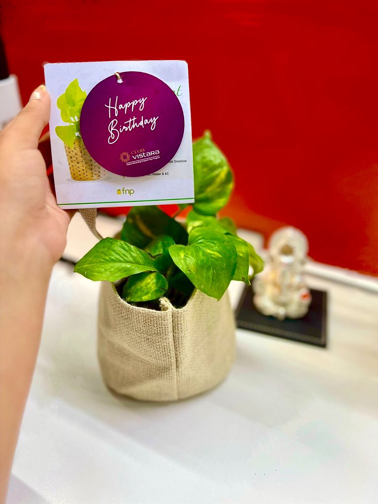 All I can say is wow! 
What a gorgeous birthday gift.
This made my birthday even more special. 
Thanks a ton.😊 @airvistara
#Vistara #Birthday #Gift