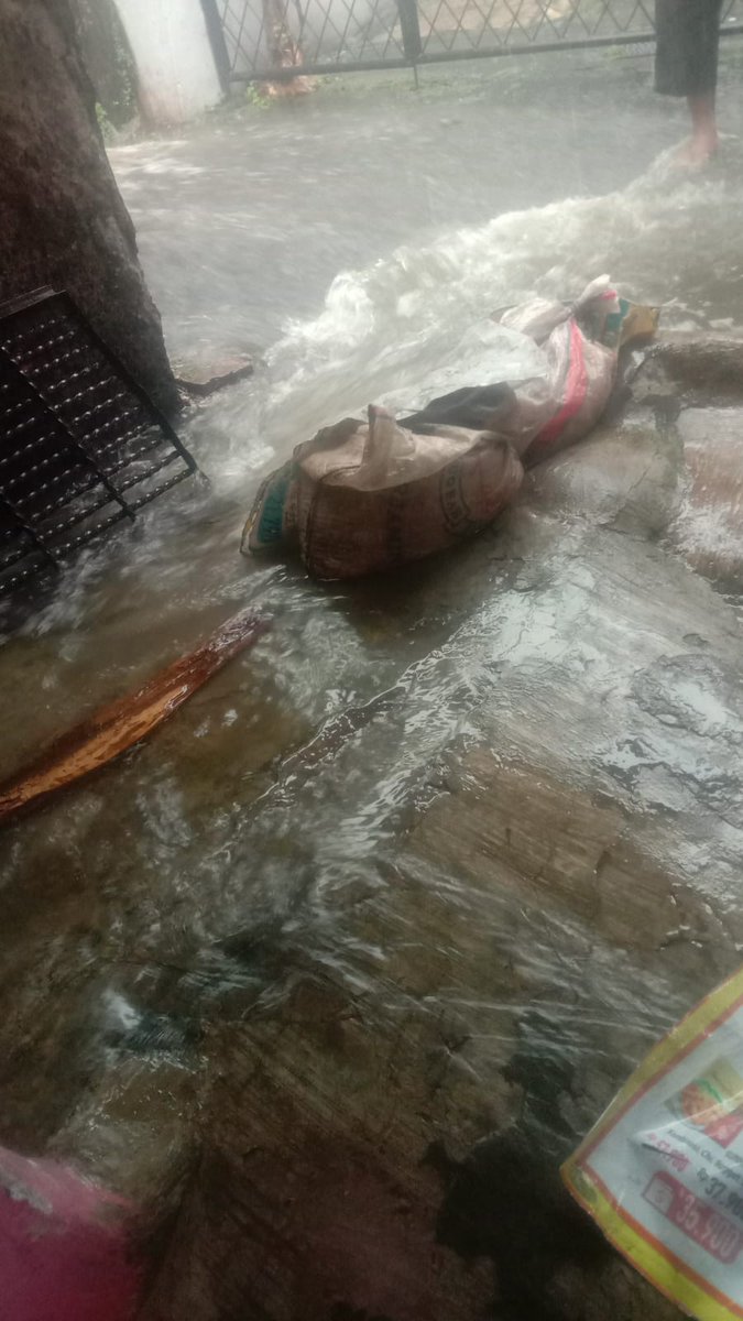 mulia_rahman89's tweet photo. @DKIJakarta @DinasSDAJakarta 
Alamat lengkap: Jalan Naya , RT 03 RW 05 No 71 kecamatan Cipayung, kelurahan Munjul, Jakarta timur
Patokan lokasi laporan : selokan depan rumah masnaya/ tanya RT 03 RW 05  biar lebih mudah untuk menemukan lokasinya https://t.co/P6LCkk2GTb