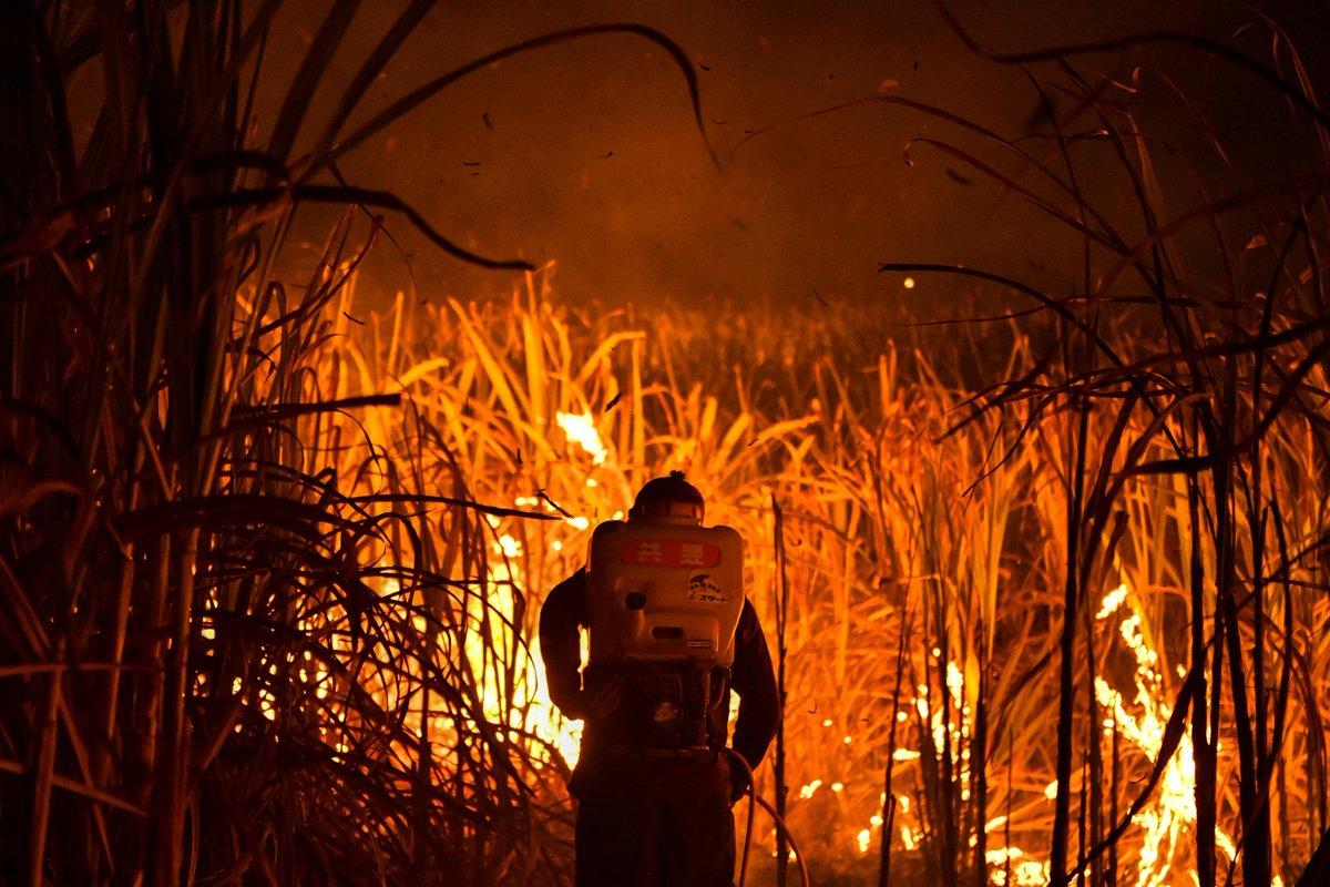 anglogalician's tweet photo. Todo arde bajo una lupa. Todo se deforma bajo una lupa. https://t.co/Rz9NnDenNY