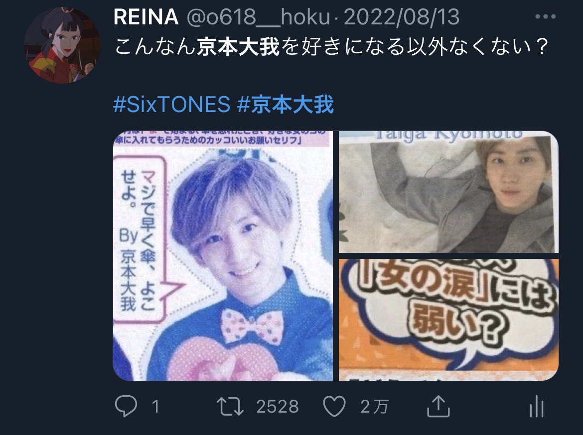 活動歴および当時の関連ビジュアル記録