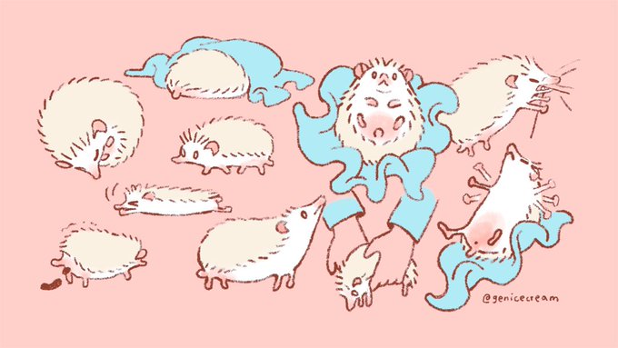 hedgehog shapes 