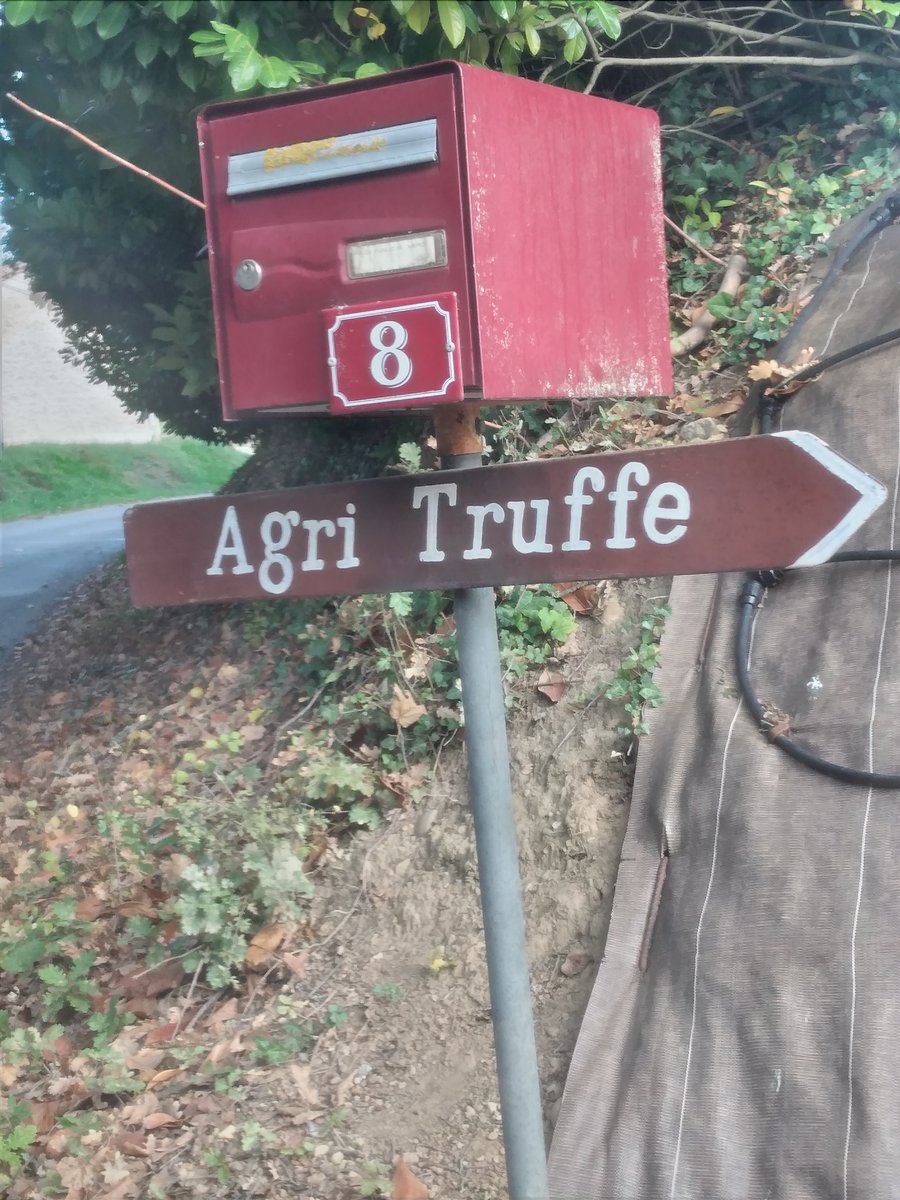 IntactProgetto's tweet image. As part of his secondment at @INRAE_Nancy prof. Lahsen Khabar visited @Agritruffe33 and a private truffle farm. #INTACTPROJECT