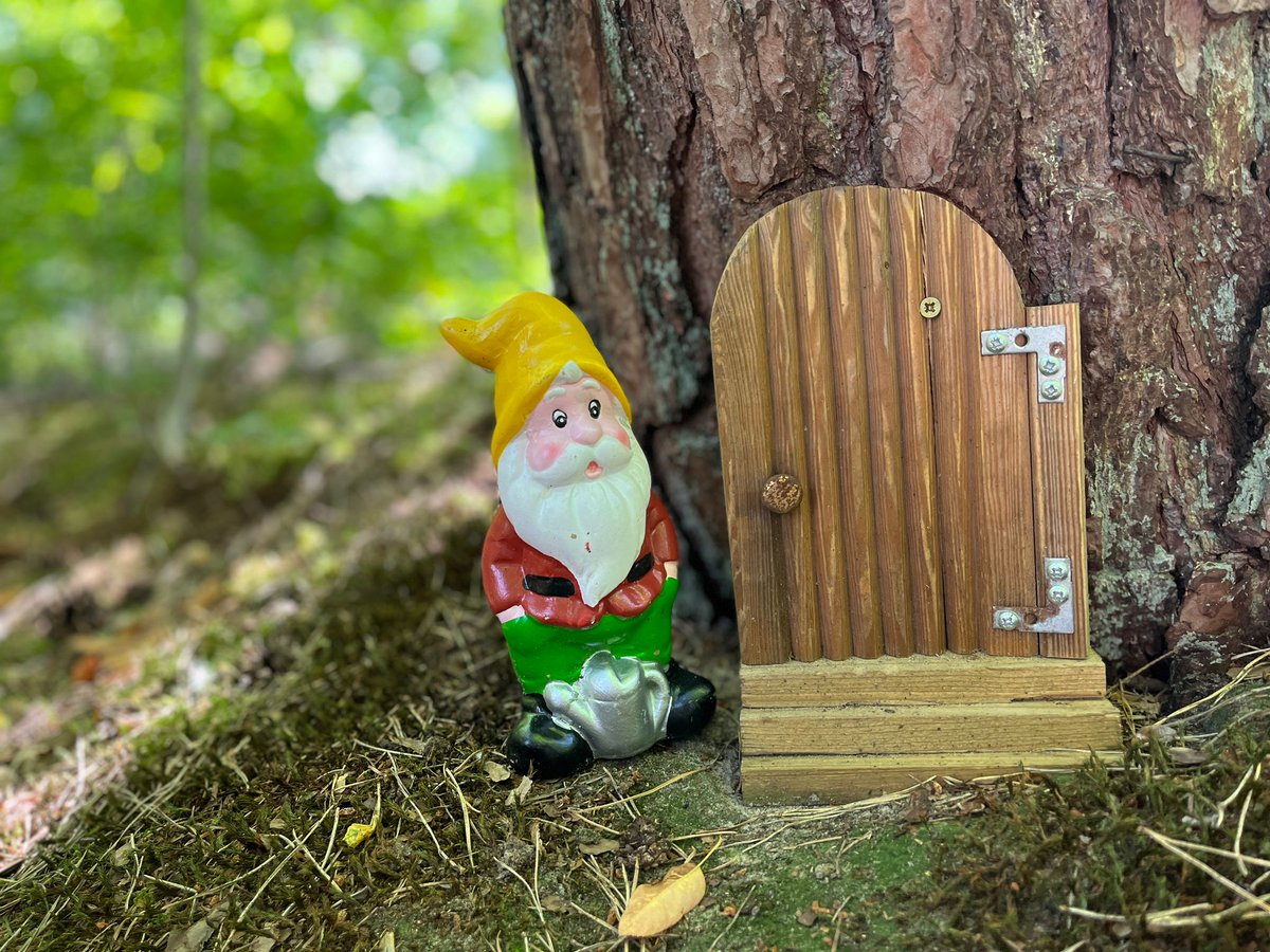 🌳Heb jij ‘m al voorbij zien komen, onze vragenlijst over bomen? Of je nu wel of niet een tuin vol bomen hebt, wij zijn benieuwd wat jij van deze regels vindt. Laat het weten via startvragenlijst.nl/hilversum. Kost je slechts 5 minuten van je tijd en invullen kan t/m zondag 23 oktober.