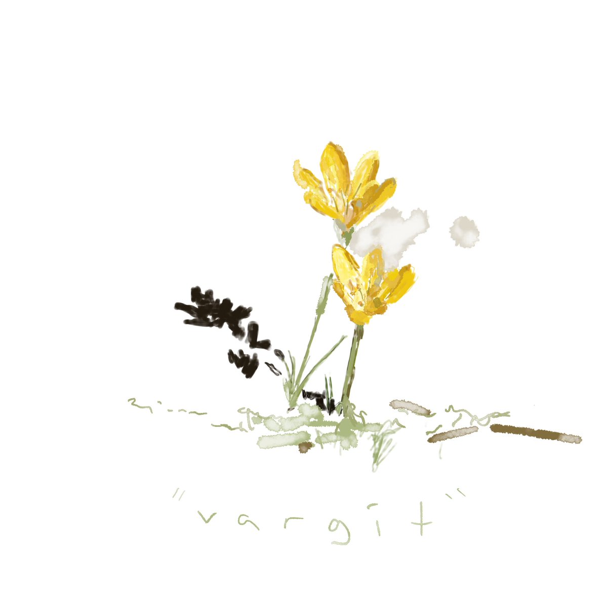 binnaz_koca's tweet photo. **
İsmi ne güzel; vargit.
#vargit
** https://t.co/YdT1Xhaj3A