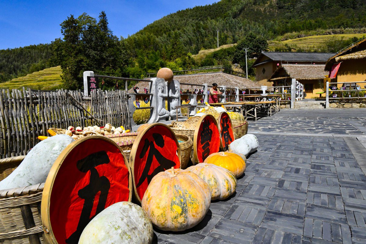 gzswdys's tweet photo. "Sun in autumn" is a folk custom. Refers to putting peanuts, soybeans, mung beans and other agricultural products in the sun when the weather is good. It represents people's joy and expectation for the autumn harvest.
#江西 #jiangxi #china #foison #paddy #rice #landscape https://t.co/Mw6m9pDreD