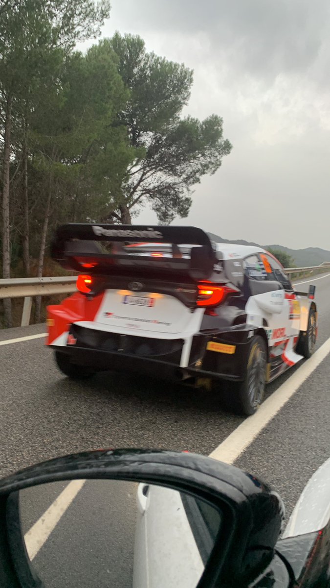 Rafel Pino tweet media