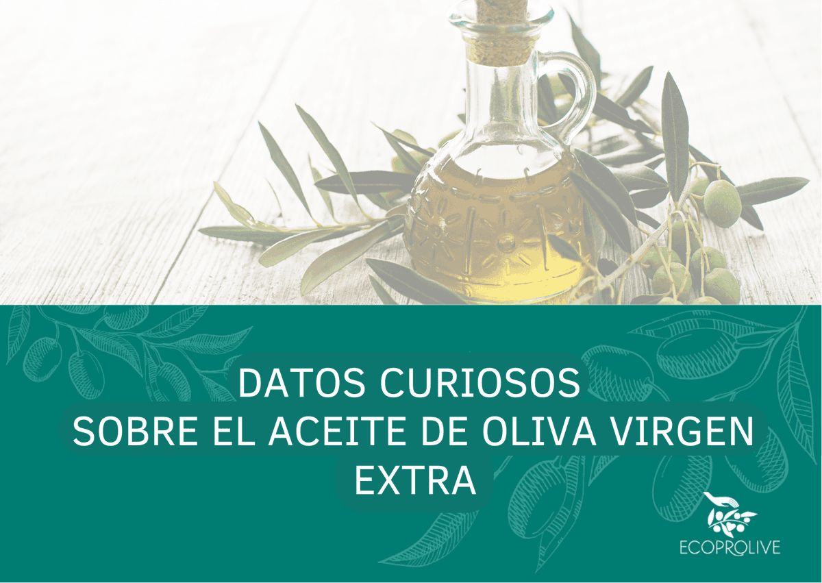 EcoPROLIVE's tweet photo. ¿Cuánto creeis conocer sobre el #AOVE? 
Os dejamos algunas curiosidades por aquí: https://t.co/nFLJ8kXAoc https://t.co/APUSSqDs5z