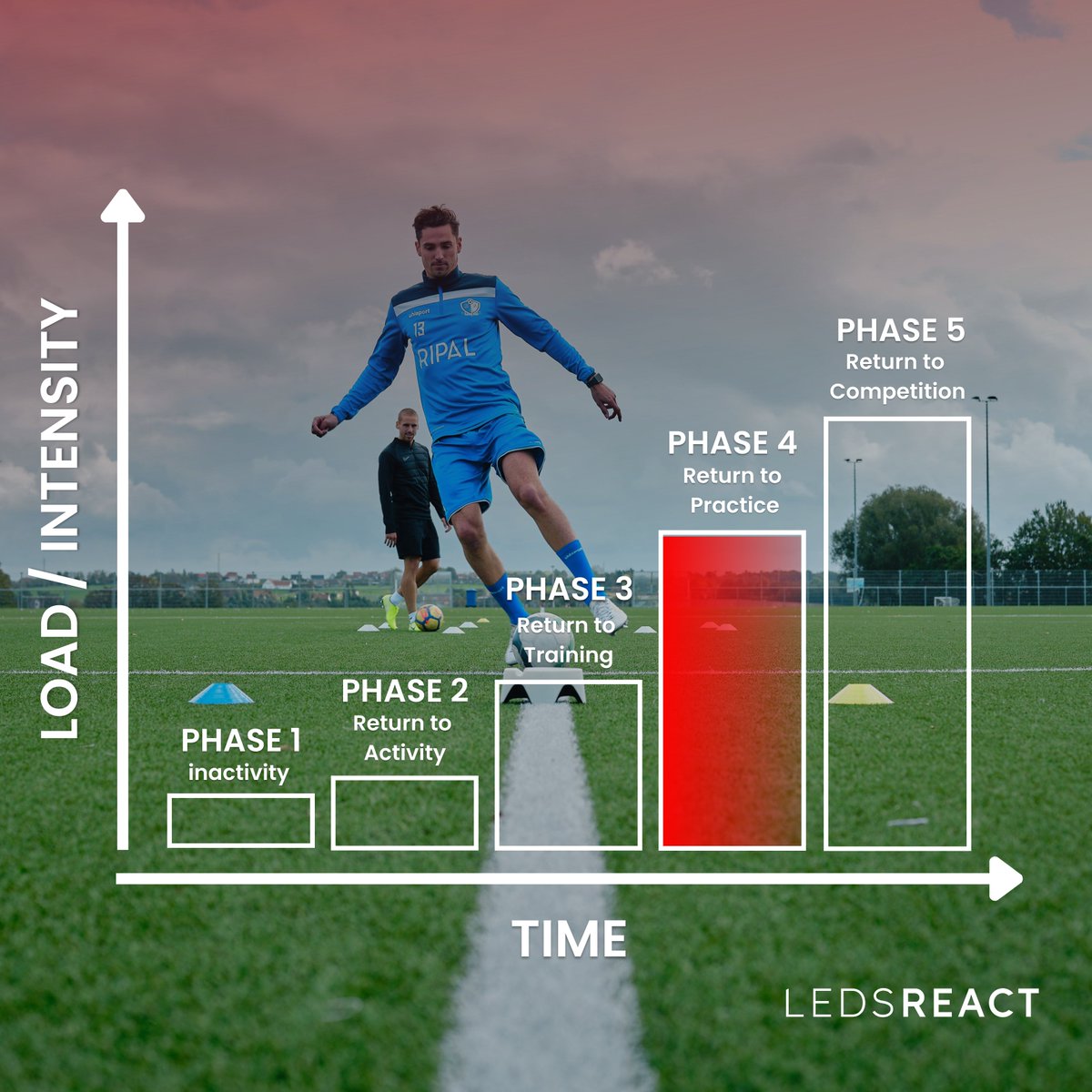 Ledsreact tweet media