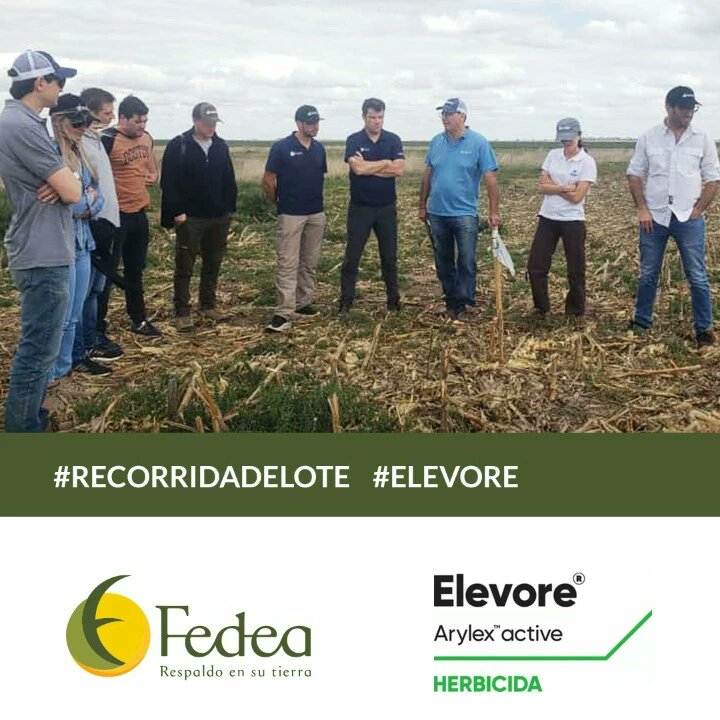 fedeaagro's tweet photo. Nos perfeccionamos💪
#Recorridadelote #Elevore

El Herbicida de @CortevaARG para el Control de #RamaNegra
en presiembra del cultivo de #Soja

👉🏼Nuestros ingenieros pueden asesorarte

#Controlmalezas #Herbicidas #asesoramiento https://t.co/cteMytM09g